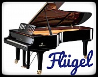 Flügel